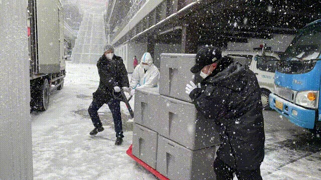 �ͼ����֡�H88(�й���)���鲩�����