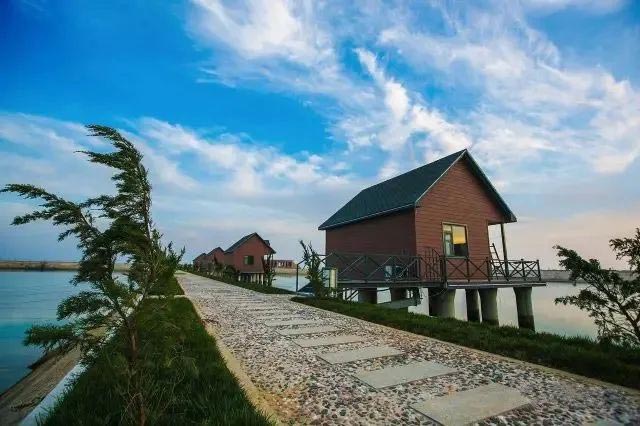 �ͼ����֡�H88(�й���)���鲩�����