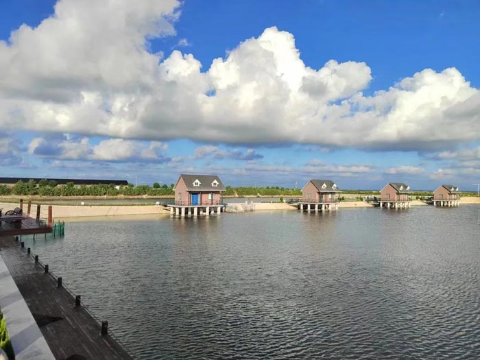 �ͼ����֡�H88(�й���)���鲩�����