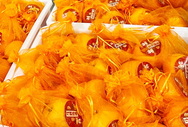 �ͼ����֡�H88(�й���)���鲩�����