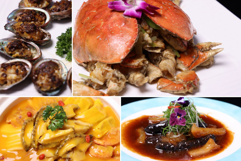 �ͼ����֡�H88(�й���)���鲩�����