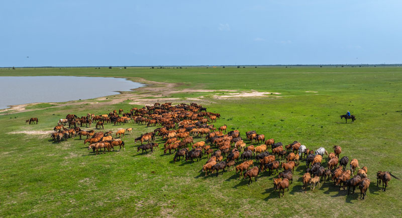 �ͼ����֡�H88(�й���)���鲩�����