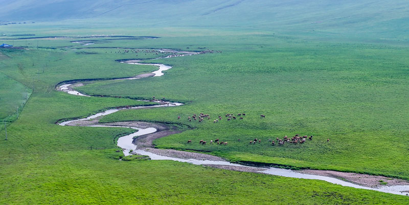 �ͼ����֡�H88(�й���)���鲩�����