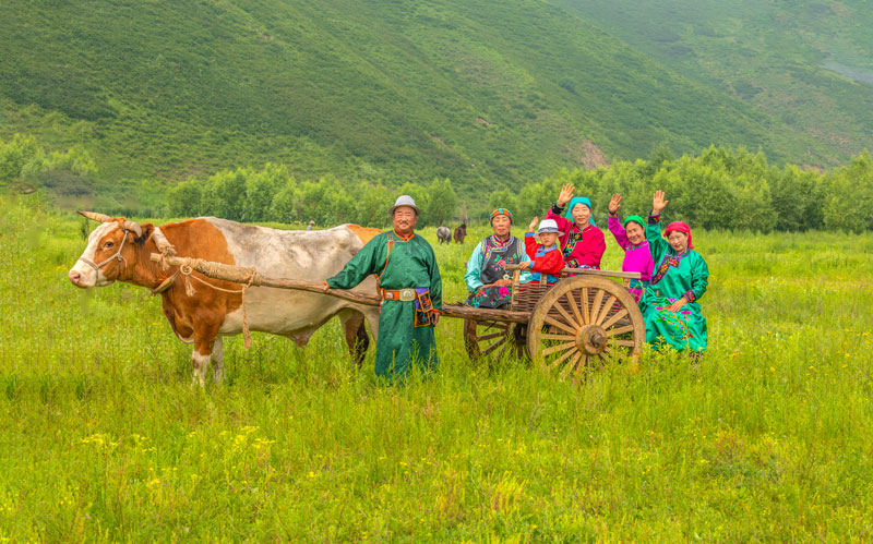 �ͼ����֡�H88(�й���)���鲩�����